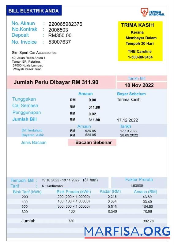 Printable INDIA TENAGA NASIONAL utility bill Word and PDF template